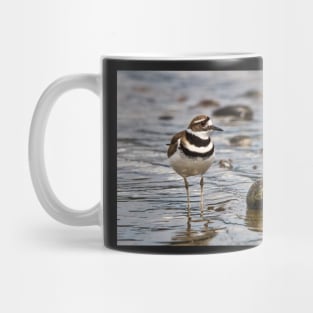 Killdeer at the Beach Mug